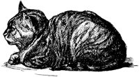 CAT032C.TIF