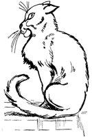CAT032B.TIF
