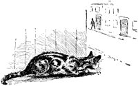 CAT031N.TIF