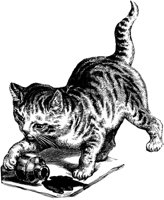 CAT031K.TIF
