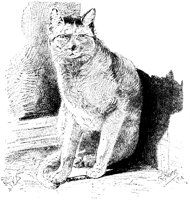 CAT031D.TIF