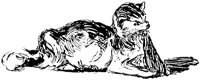 CAT031A.TIF