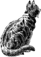 CAT030J.TIF