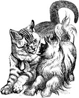 CAT030C.TIF