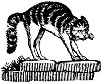 CAT029R.TIF