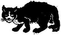 CAT029Q.TIF