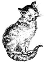 CAT029N.TIF