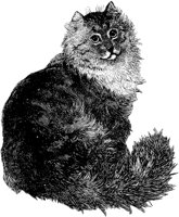 CAT029L.TIF