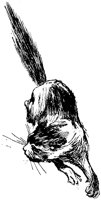 CAT029H.TIF