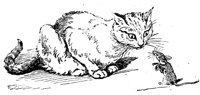 CAT029D.TIF