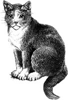 CAT029C.TIF