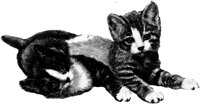 CAT028N.TIF