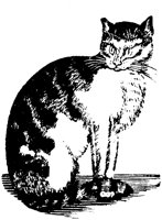 CAT028L.TIF