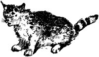 CAT028G.TIF