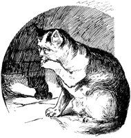 CAT028F.TIF