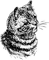 CAT028E.TIF
