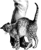 CAT028C.TIF