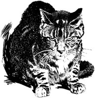CAT028A.TIF