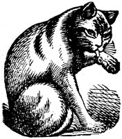 CAT027L.TIF