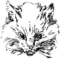 CAT027J.TIF