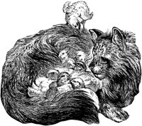 CAT027I.TIF