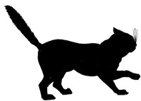 CAT027H.TIF