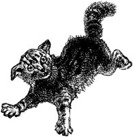 CAT027G.TIF