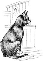 CAT027F.TIF