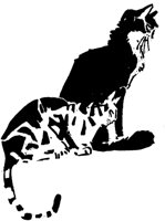CAT027E.TIF