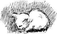 CAT027D.TIF