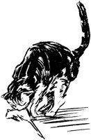 CAT026I.TIF