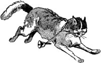 CAT026G.TIF