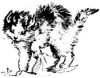 CAT026E.TIF