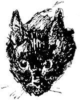 CAT026C.TIF