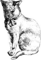 CAT026B.TIF