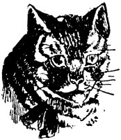 CAT025J.TIF
