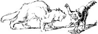 CAT025I.TIF