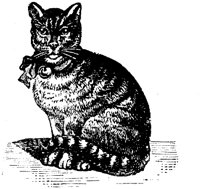 CAT025G.TIF