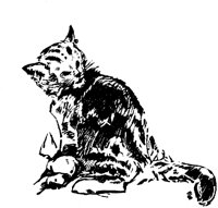 CAT025C.TIF