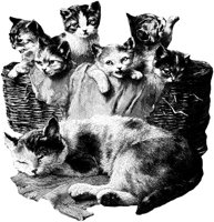 CAT025B.TIF