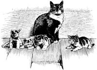 CAT025A.TIF