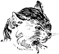 CAT024Q.TIF