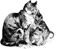 CAT024P.TIF