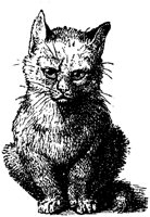 CAT024O.TIF