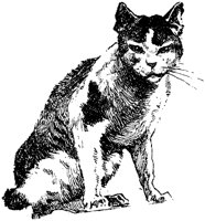 CAT024N.TIF