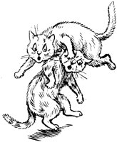 CAT024K.TIF