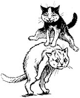 CAT024J.TIF