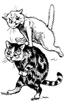 CAT024I.TIF
