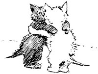 CAT024G.TIF