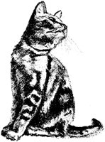 CAT024E.TIF